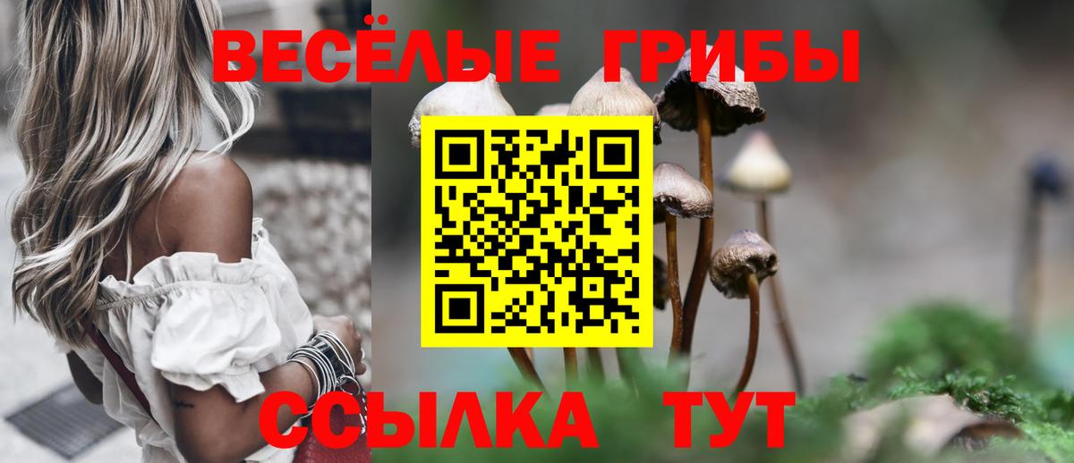 Ростов Великий  хочу   Вход с VPN  Галлюциногенные грибы ЛСД 