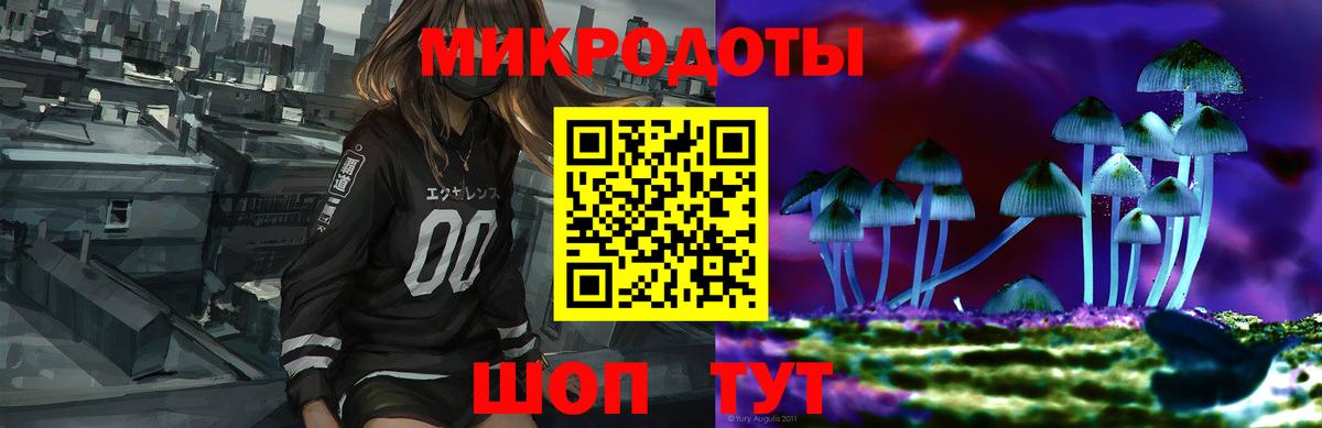 Псилоцибиновые грибы мицелий Ростов Великий